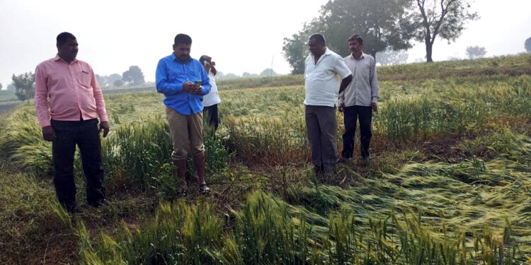 अवकाळी पावसामुळे पिकांचे मोठे नुकसान