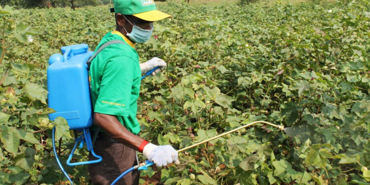 अरे वा काय म्हणता! पिकांवर रोग येण्याअगोदरच आता शेतकरी बंधूंना कळेल, कसं ते वाचा?