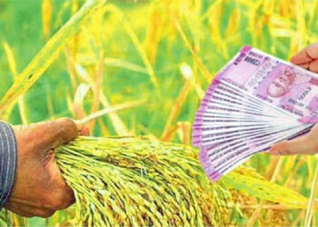 शेतकर्‍यांसाठी खुशखबर! धानाला हेक्टरी 15 हजार बोनस no1maharashtra News Updates