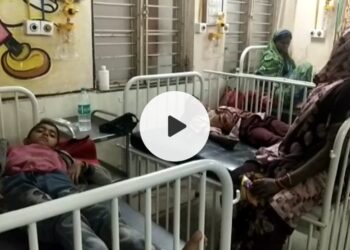 चंद्रज्योतीच्या बिया काजुसारख्या दिसतात, पण विषारी असतात, सात मुलांना विषबाधा