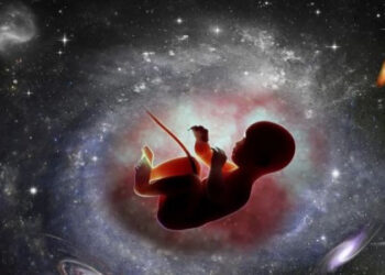 आता अंतराळातही होणार मानवी भ्रूणाची निर्मिती