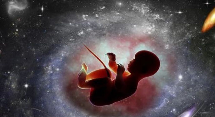 आता अंतराळातही होणार मानवी भ्रूणाची निर्मिती