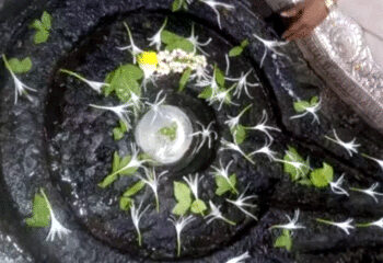 अंनिसने केलेला दावा खरा ठरला, काय आहे शिवलिंगावर बर्फ जमा होण्याचे प्रकरण