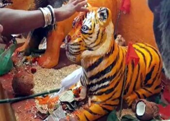 Why tribal brothers worship tiger आदिवासी बांधव का करतात वाघाची पूजा? कारण जाणून आश्चर्य वाटेल