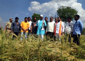 Abdul Sattar कृषी मंत्री आले अन् गेले… शेतकऱ्यांना काय मिळाले?