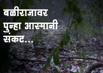 hailstorm in sakri बळीराजावर आस्मानी संकट, साक्री तालुक्यात पुन्हा गारपीट अन् वादळी पाऊस, पिकांचे मोठे नुकसान