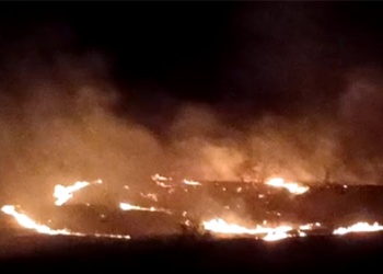 वणवा पेटला अन् कंट्रोल रूमला सॅटेलाईट सिग्नल मिळाला, जंगल वाचले!