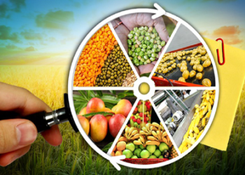 PMFME Scheme शेतकऱ्यांनो उद्योगपती व्हा आणि १० लाख रुपये अनुदान मिळवा!