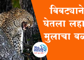 leopard attack बिबट्याने घेतला नऊ वर्षाच्या मुलाचा बळी