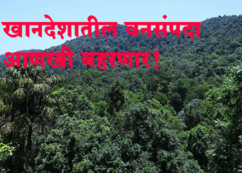 खानदेशातील वनसंपदेत भरभराट, यंदा ४७ लाख रोपांची लागवड