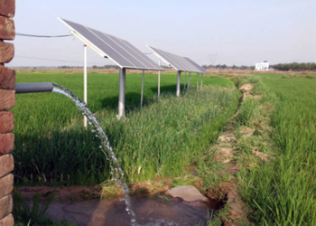 PM-Kusum Yojana शेतकऱ्यांसाठी खुशखबर, तीन लाख ७४ हजारांचा सौर कृषी पंप फक्त ३७ हजार ४४० रुपयांना