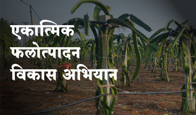 Integrated Horticulture Development Mission एकात्मिक फलोत्पादन विकास अभियान