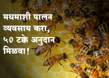 Shetkari Yojana मध केंद्र योजना : मधमाशा पालन व्यवसाय करा अन् पन्नास टक्के अनुदान मिळवा 