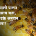 Shetkari Yojana मध केंद्र योजना : मधमाशा पालन व्यवसाय करा अन् पन्नास टक्के अनुदान मिळवा 
