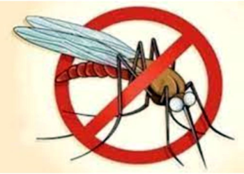 Keep a dry day to prevent dengue! डेंग्यूच्या प्रतिबंधासाठी कोरडा दिवस पाळा!