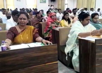 DMC News मुलभूत प्रश्न सोडवत नाहीत, विकास काय करणार?