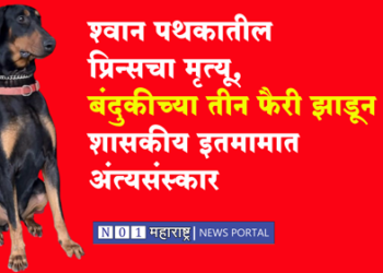 Death of prince from Dhule police dog squad धुळे पोलिसांच्या श्वान पथकातील प्रिन्सचा मृत्यू