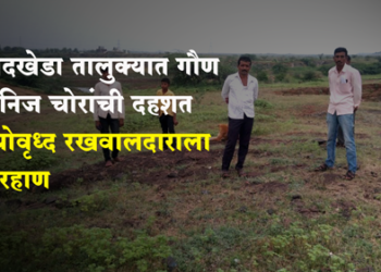 Dhule Crime स्टोन क्रेशरच्या रखवालदाराला गौण खनिज चोरांकडून मारहाण