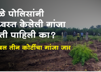 Dhule Crime धुळे जिल्ह्यात तब्बल तीन कोटींचा गांजा पकडला