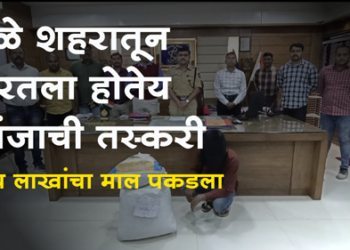 Dhule Crime धुळ्यात पाच लाखांचा गांजा पकडला, धुळे एलसीबीची कारवाई