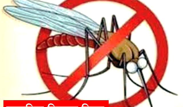Measures for mosquito control हिवताप निर्मूलनासाठी नागरिकांचा सहभाग महत्वाचा : जिल्हा हिवताप अधिकारी अनिल पाटील