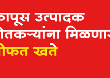 Shetkari Yojana धुळे तालुक्यातील कापूस उत्पादक शेतकऱ्यांना मोफत खते, आजच करा अर्ज