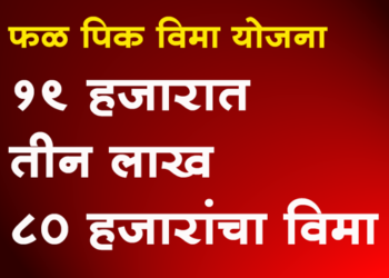 Fruit Crop Insurance Scheme 19 हजारात तीन लाख ऐंशी हजाराचा पिक विमा!